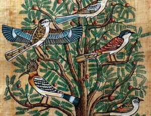 Painting the phylogeny of life | Science