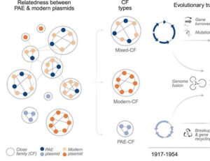 Pre- and postantibiotic epoch: The historical spread of antimicrobial resistance | Science