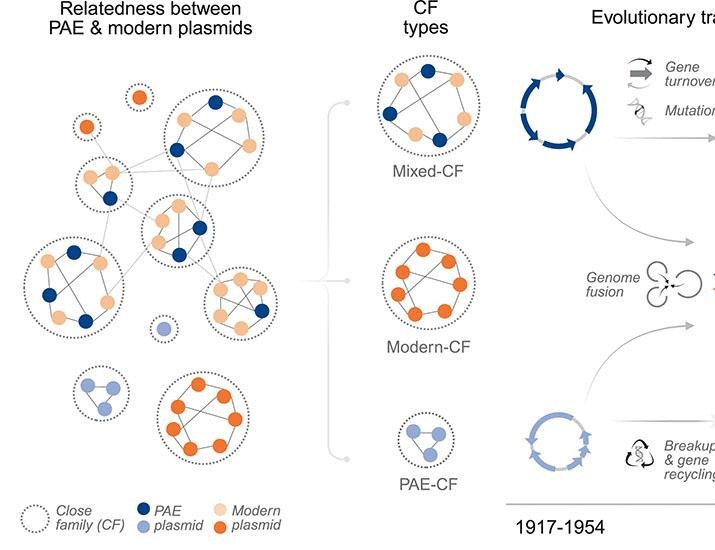 Pre- and postantibiotic epoch: The historical spread of antimicrobial resistance | Science