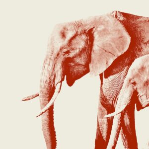 Republicans Are Quietly Pushing Back Against Trump