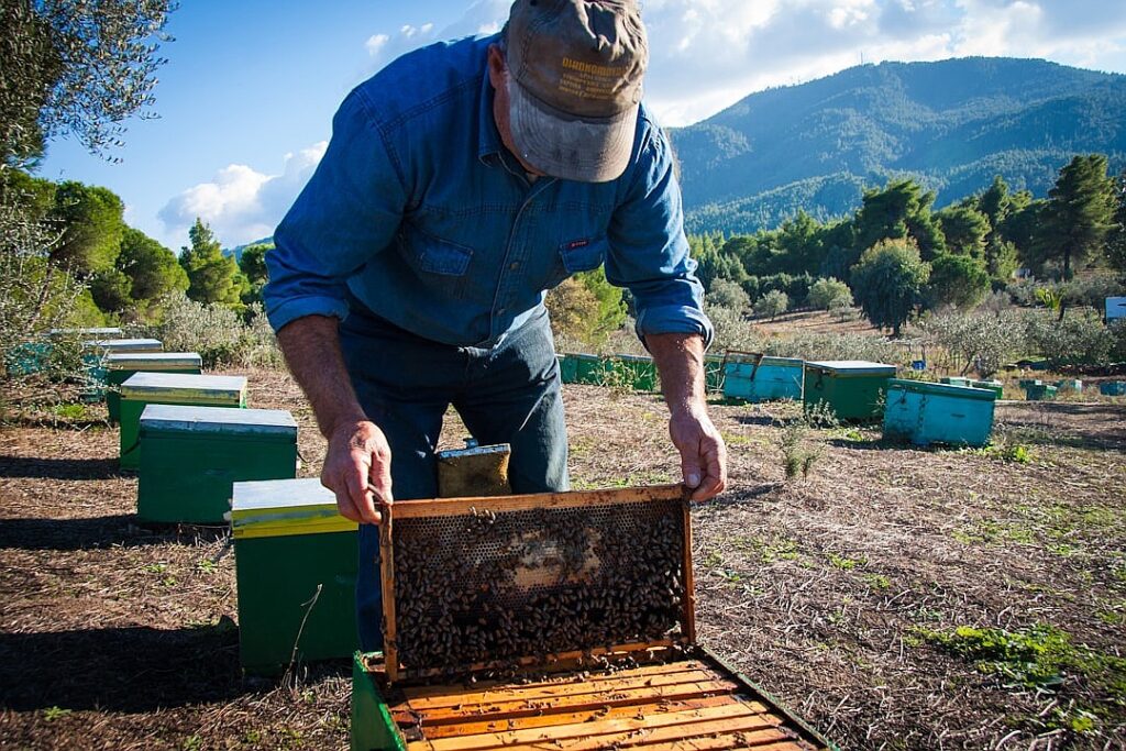 Beekeepers, Farmers and the Fight to Save a Century-Old Research Hub