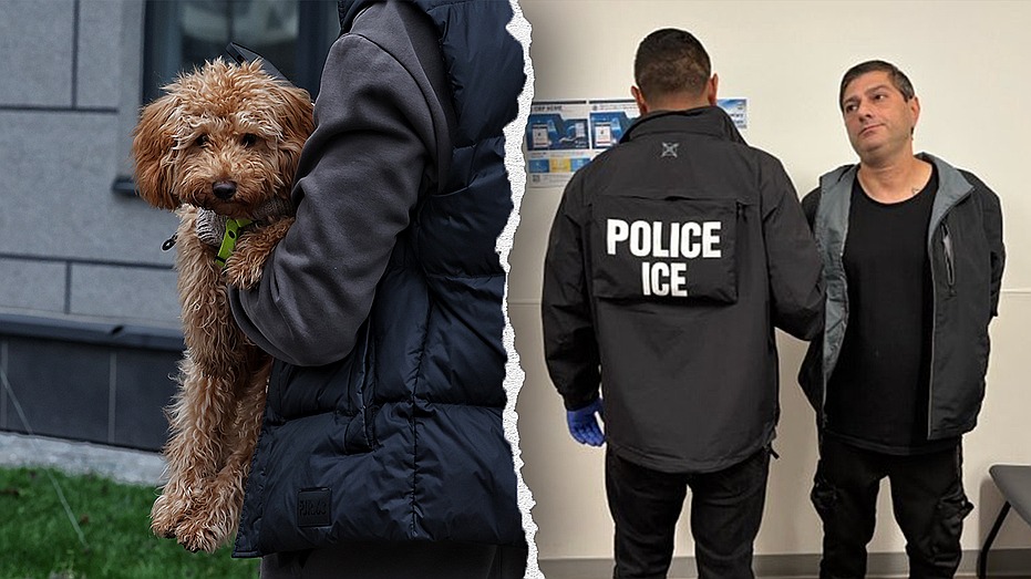 ICE arrests Azerbaijani national with multiple criminal convictions, including animal cruelty, arson