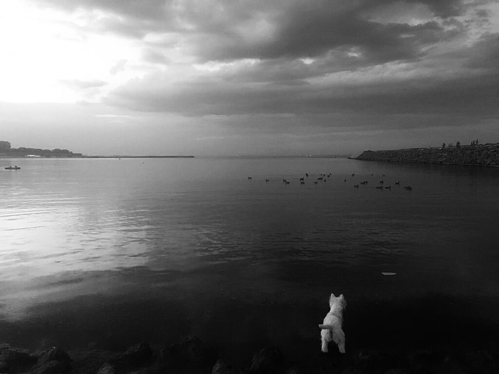 A Chinese firm attempts to bring a booster rocket back to Earth