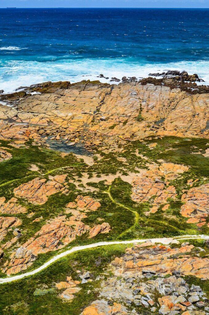 Francis Ford Coppola’s F.P. Journe Sells for $11 Million at Auction