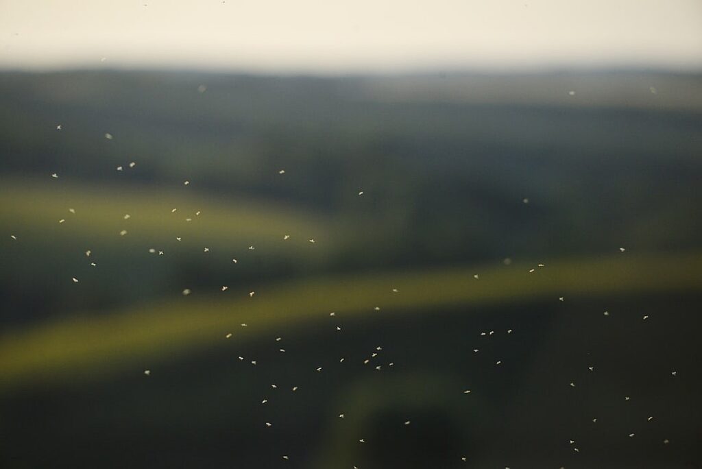 The US in brief: Our polling on the Epstein saga