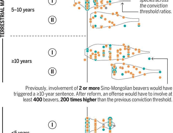 Toward science-based conviction criteria to deter wildlife crime | Science