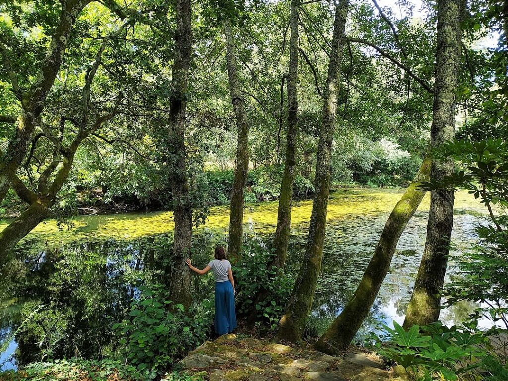 Do minimum wages kill jobs?