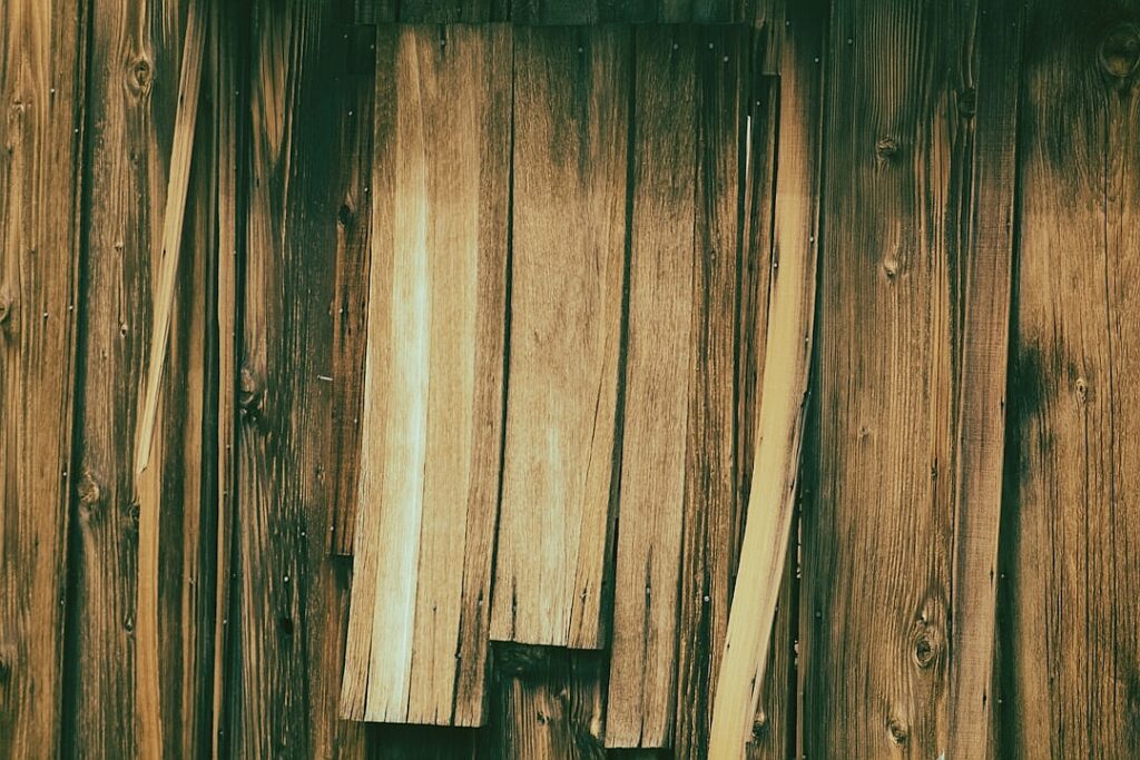 The Big Apple Circus Returns to New York With Its Show-Stealing Dogs