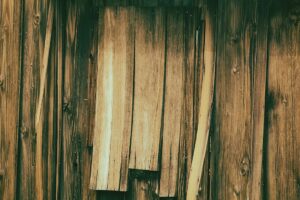 The Big Apple Circus Returns to New York With Its Show-Stealing Dogs