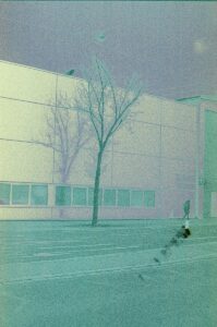 Faulty Glucose Monitor Sensors May Be Tied to 7 Deaths, F.D.A. Says