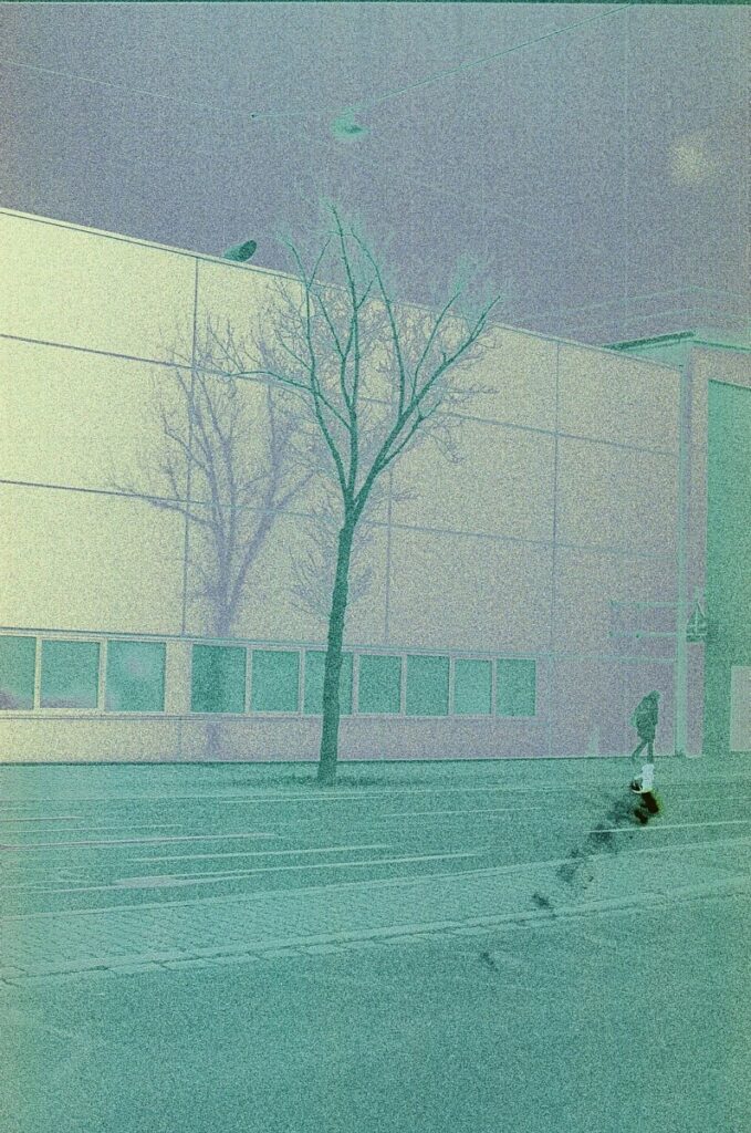 Faulty Glucose Monitor Sensors May Be Tied to 7 Deaths, F.D.A. Says