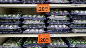 Cotton moves to loosen rules to boost supply of household staple, ease affordability crunch