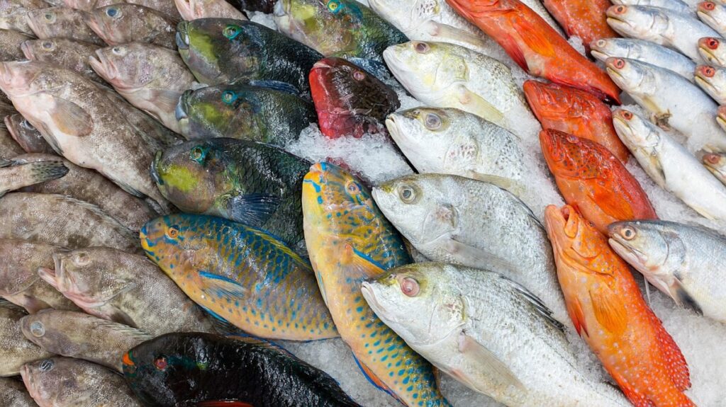 Afraid your fish is too fishy? Smart sensors might save your nose