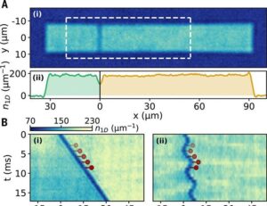 Shapiro steps in strongly-interacting Fermi gases | Science