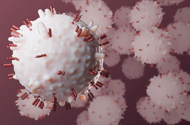 The first patients have been helped by cancer-fighting cells made directly in their bodies