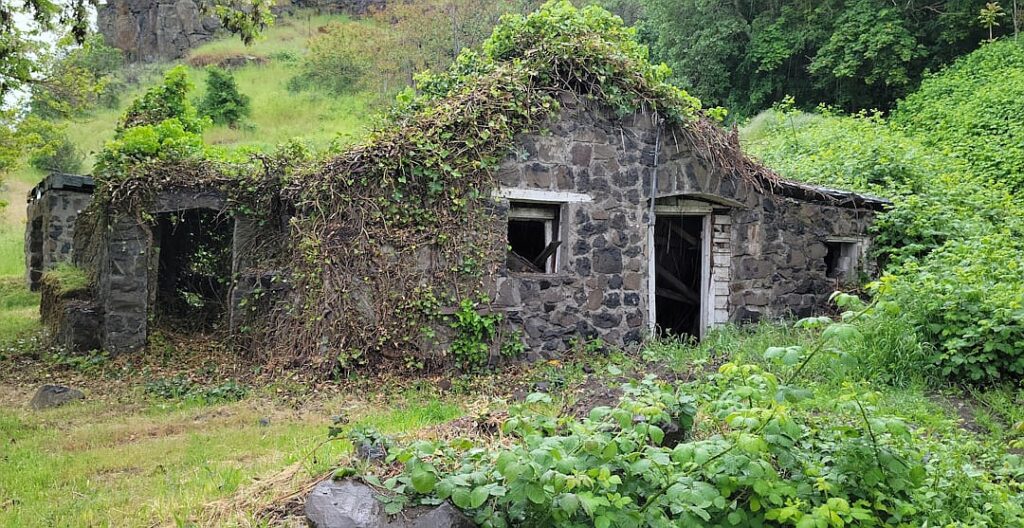 The US in brief: Trump accuses Democrats of “seditious behaviour”