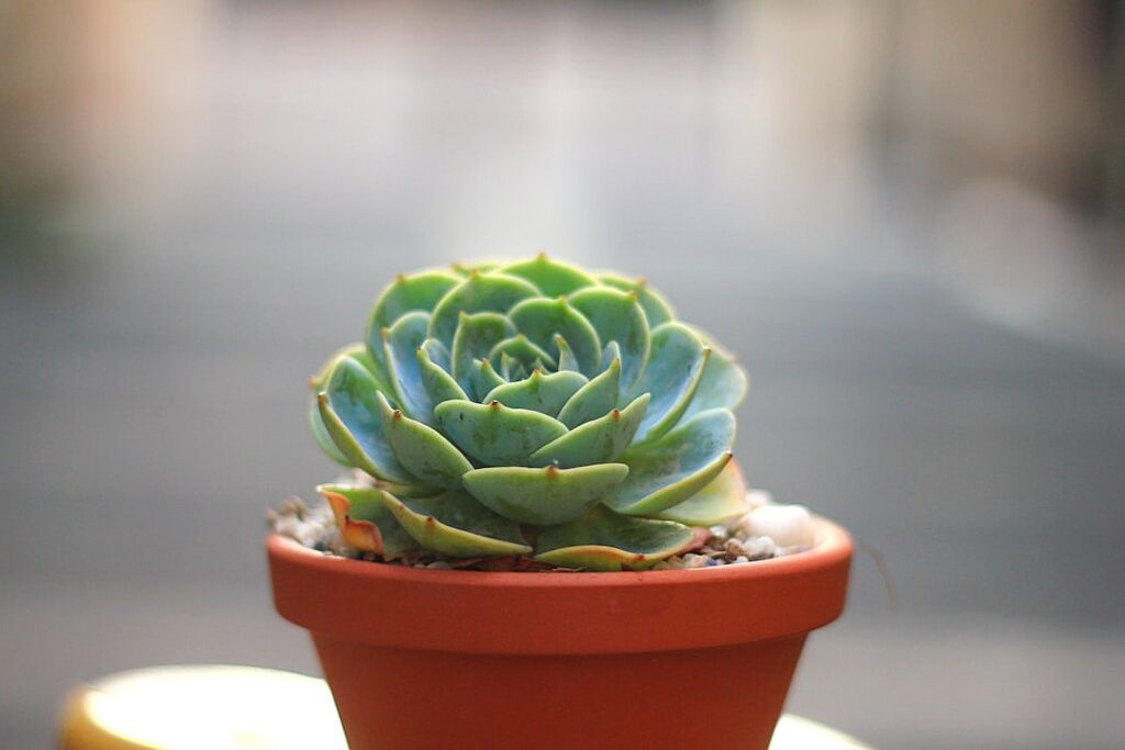 A terrible American-Russian proposal to end the war in Ukraine