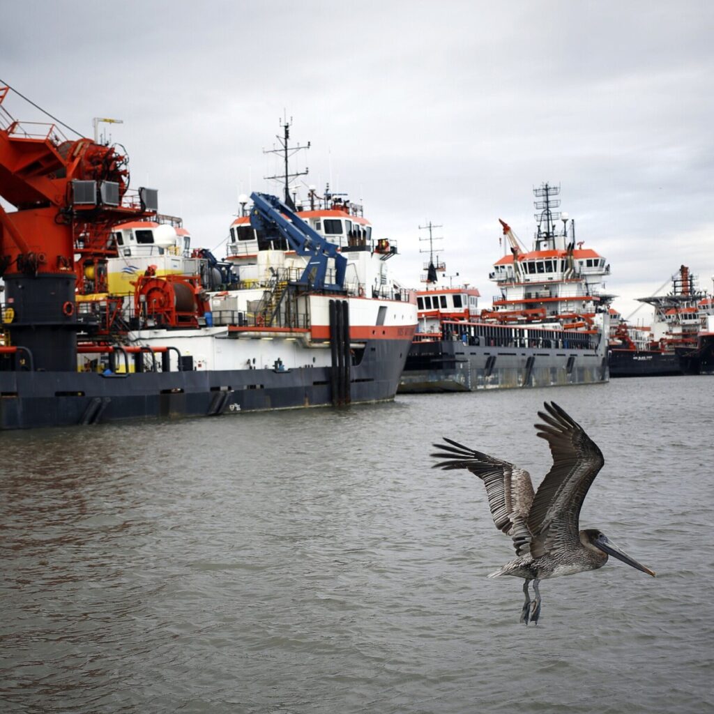 Trump Plans to Open More Than a Billion Acres of U.S. Waters to Drilling