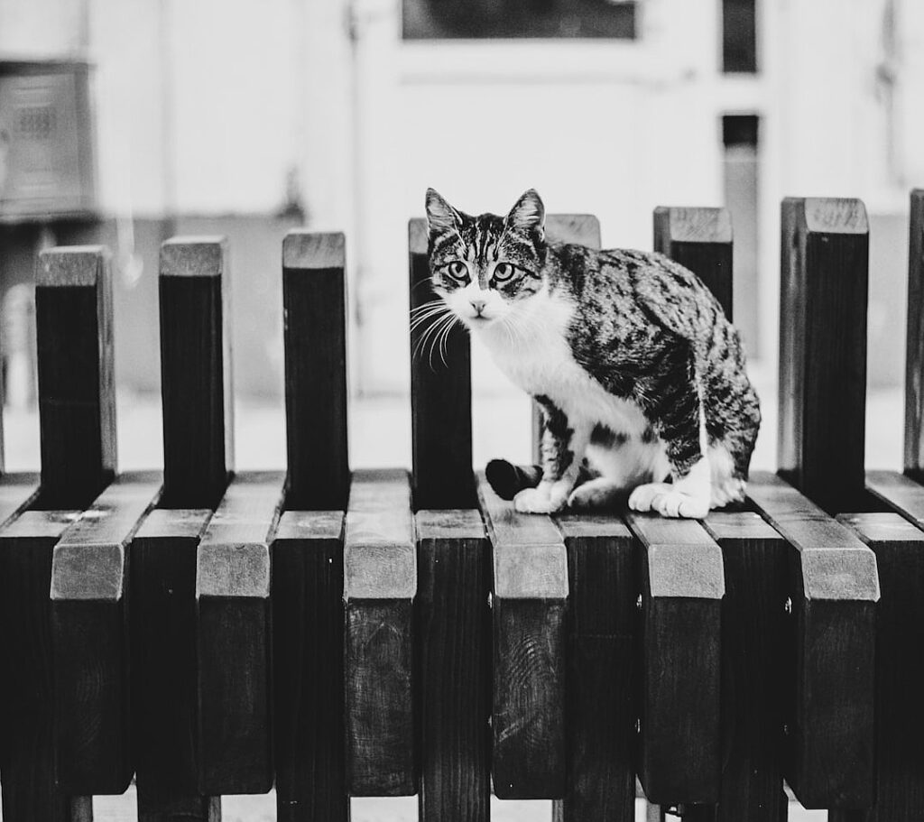 A corruption scandal costs Volodymyr Zelensky his top aide