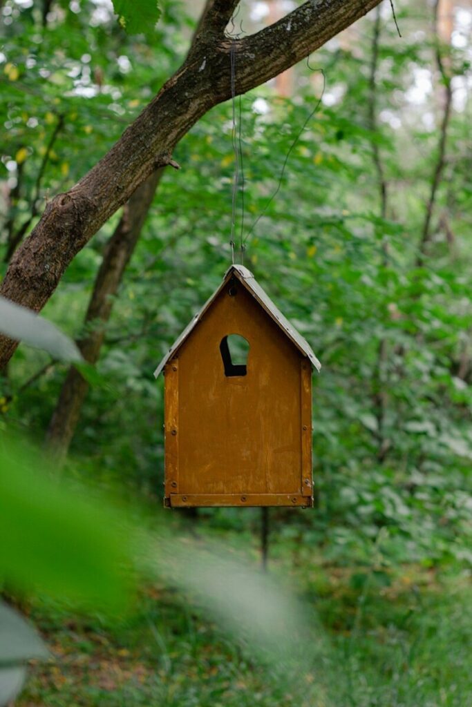 One of the poorest states in America introduces free child care